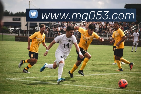 MG娱乐平台官网APP 封面图